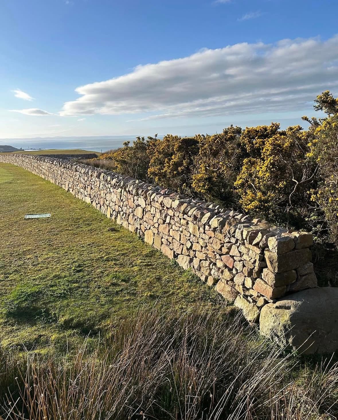 Ardfin dry stone wall image 2